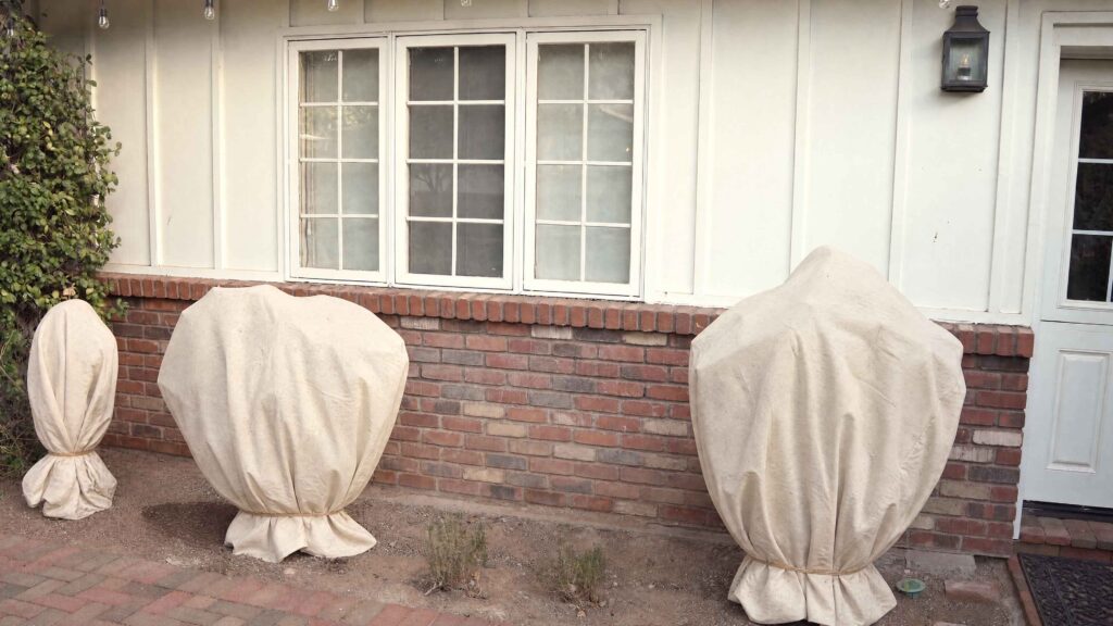 Landscaping wrapped and protected before exterior painting — Hett Painting Group white-glove protection